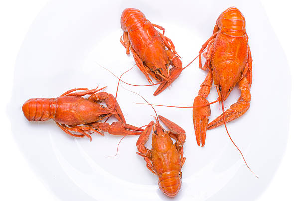 istock crawfishes on a wooden table 592016412