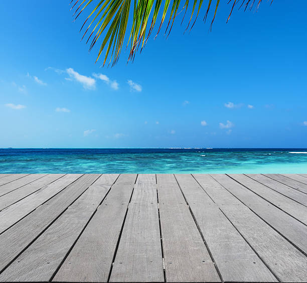 istock Wooden platform beside tropical sea 592016874