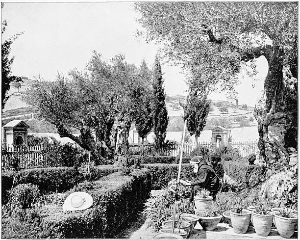 istock Garden of Gethsemane, in 1880s 592017840
