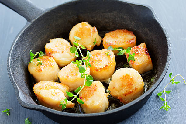 istock Scallops fried in cream sauce with herbs. 592018540