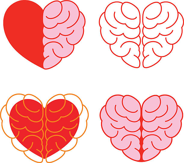 ilustraciones, imágenes clip art, dibujos animados e iconos de stock de conjunto de cerebro y corazón - symbol expertise brain power