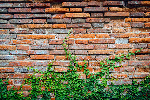 istock grunge background, red brick wall texture bright plaster wall an 592020624