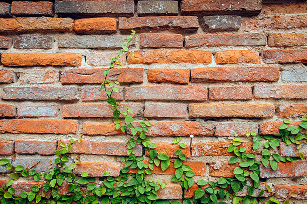 istock grunge background, red brick wall texture bright plaster wall an 592020826