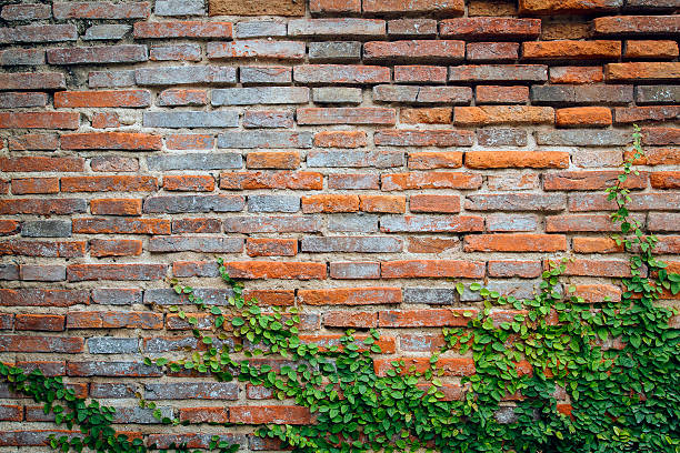 istock grunge background, red brick wall texture bright plaster wall an 592021050