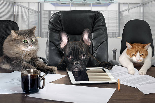 Businessmen in office.