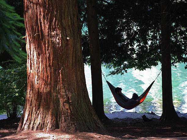 Young male teenager sleeping on hammock. Camping. Reading a book. Resting. Relaxation.