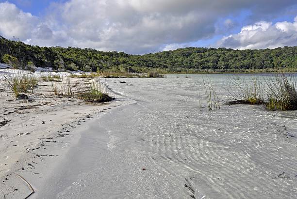 Lake Wabby, Fraser Island, Queensland, Australia.