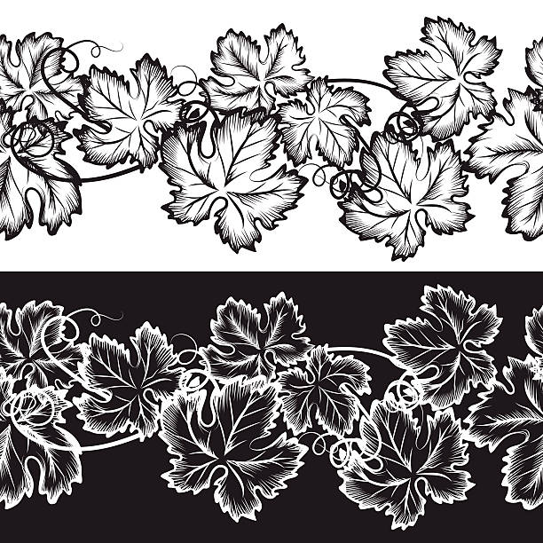 ilustraciones, imágenes clip art, dibujos animados e iconos de stock de bordes ornamentales sin costuras con hojas de uva - maple leaf close up symbol autumn