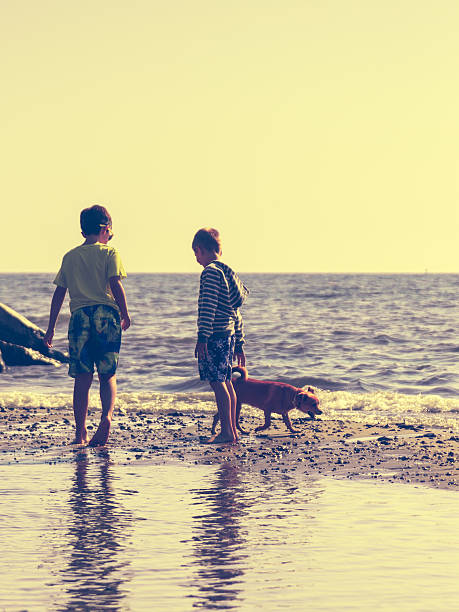 kleine kinder jungen am meerwasser mit hund. sommer. - dog walking child little boys stock-fotos und bilder