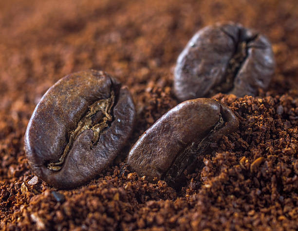 istock Closeup of coffee beans and ground 592024500