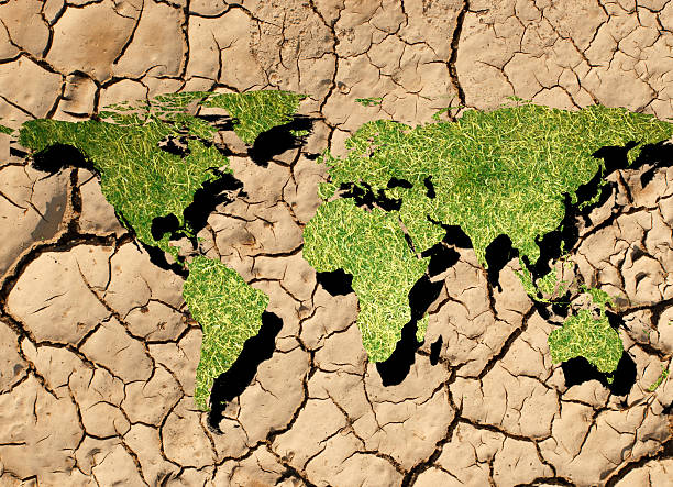 A dry, cracked earth surface shows signs of drought, with a solitary green shoot breaking through the hard soil under the bright sunlight, symbolizing resilience.