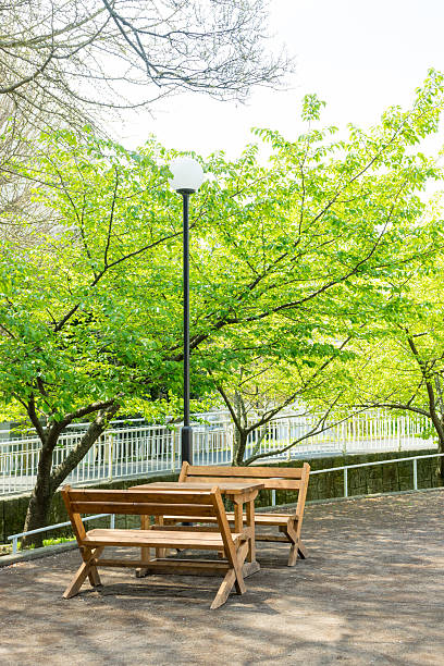 istock Bench and table of the rest station 592027644