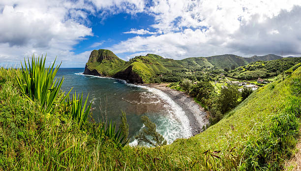 istock Panorama image of Hawaii nature 592029652