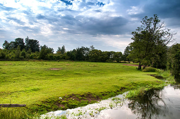 istock Wild river on the country 592031854