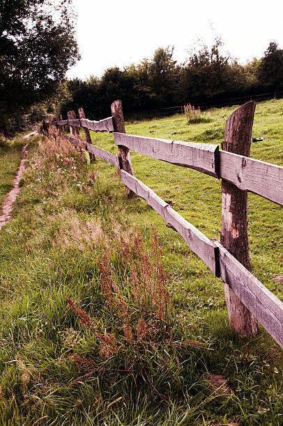 istock Wooden fence on meadow 592032394