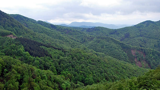 istock view from Rohata skala hill in Strazovske vrchy mountains 592034226