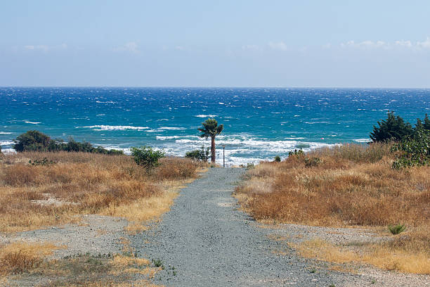 istock seascape with beach and horizon 592034806