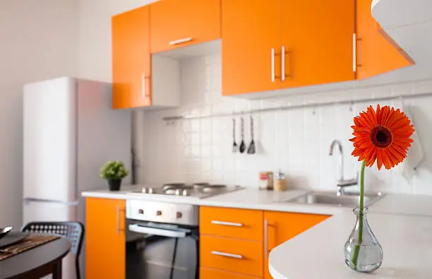 Modern orange kitchen with red gerbera on the foreground