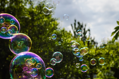 soap bubbles floating on green garden background.