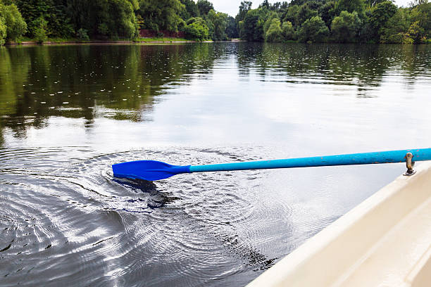 istock boating with oars in city pond in summer 592358866