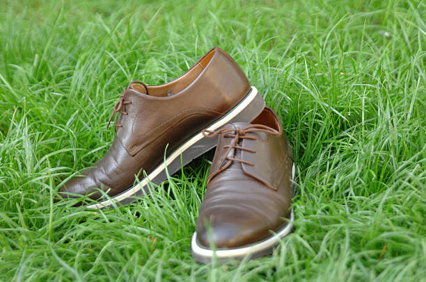 picture of a Male shoes on a grass background