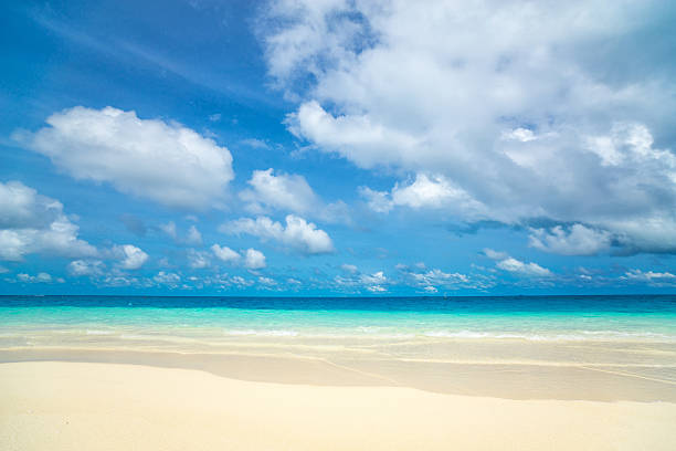 istock beautiful beach and tropical sea 592359922
