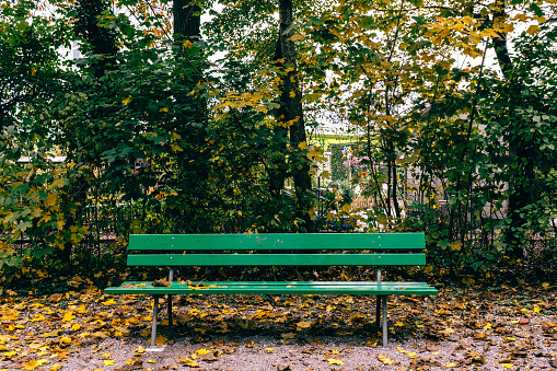 man relaxing sitting on a bench in a park