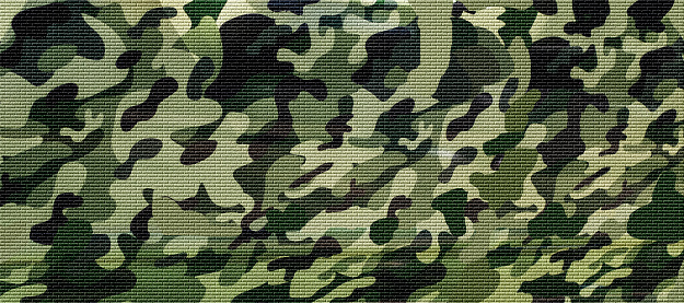 Military forest camuoflage background