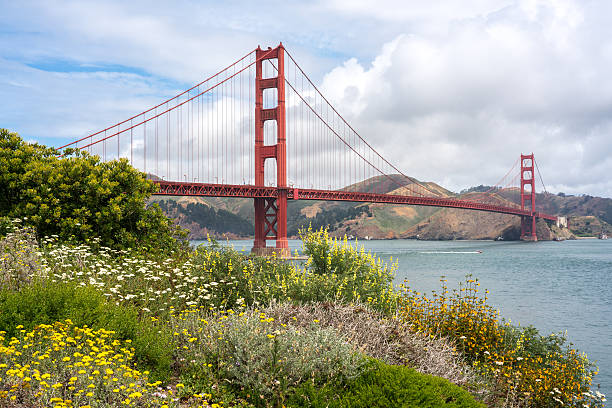 istock Golden Gate Bridge, Fowers 592363462