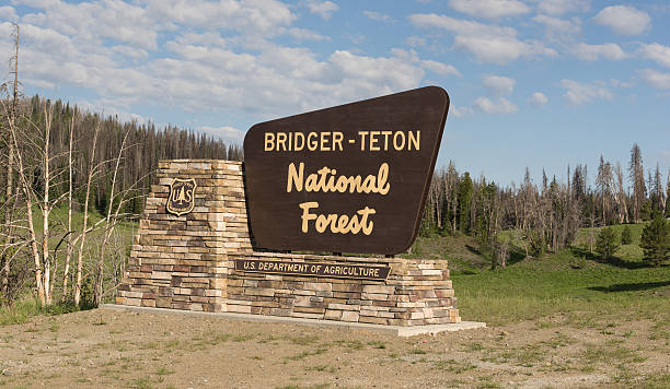 Welcome Sign Bridger-Teton National Forest US Department of Agriculture Sign marking the boundary of the Bridger Teton National Forest national forest stock pictures, royalty-free photos & images