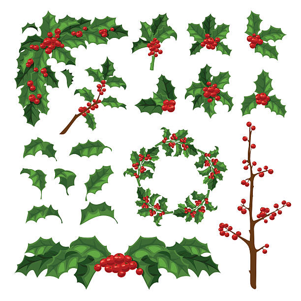 ilustrações de stock, clip art, desenhos animados e ícones de christmas berry decoration vector set. - holly christmas leaf berry fruit