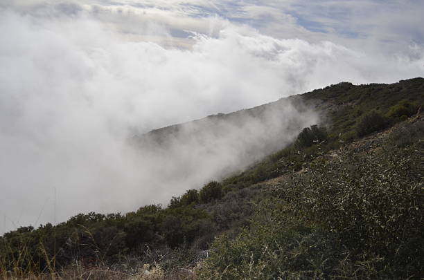 über den wolken  - saddleback mountain stock-fotos und bilder