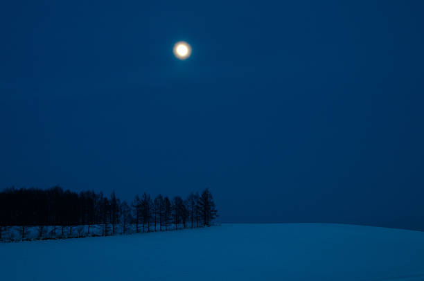 istock Full moon of the depth of winters 592373976
