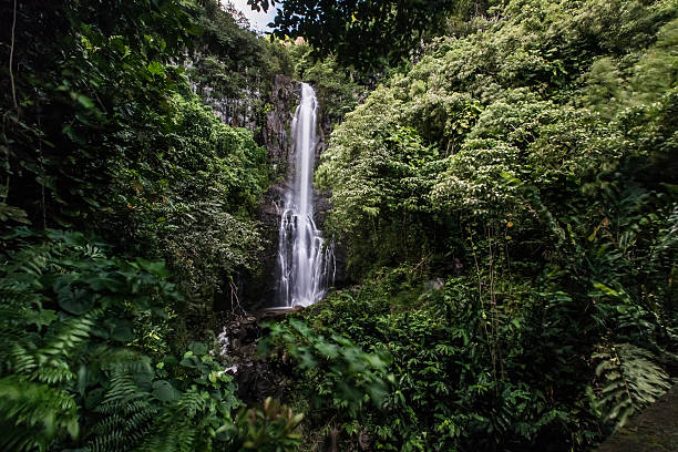 istock Hawaii waterfall with rocks and lush trees 592374398