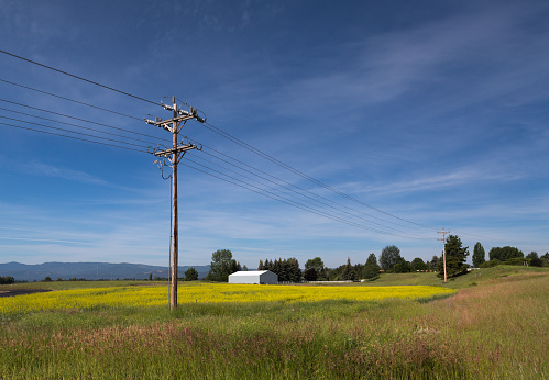 Rural Power Lines