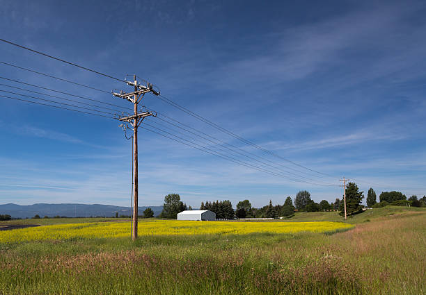 27,600+ Rural Power Lines Stock Photos, Pictures & Royalty-Free Images