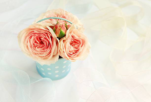 istock Roses in bucket with ribbons 592380922