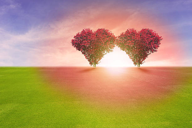 istock Power of couple love 592382138