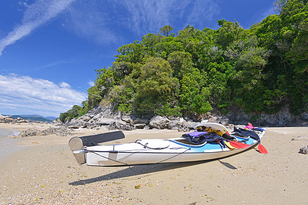 istock Kayak in Abel Tasman National Park 592382604