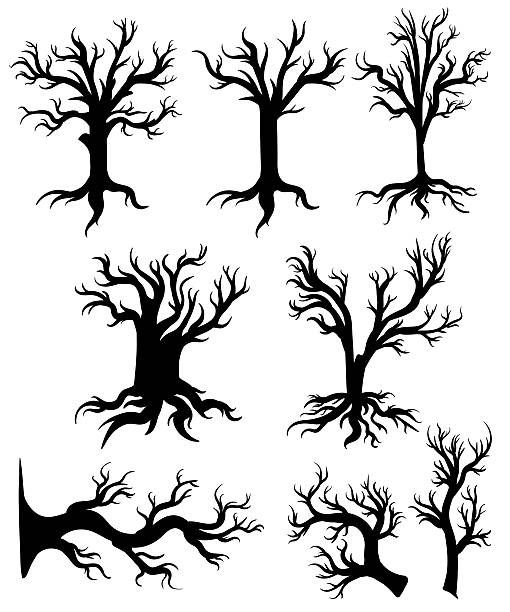ilustrações de stock, clip art, desenhos animados e ícones de vector trees in silhouettes branches isolated - planting tree poplar tree forest
