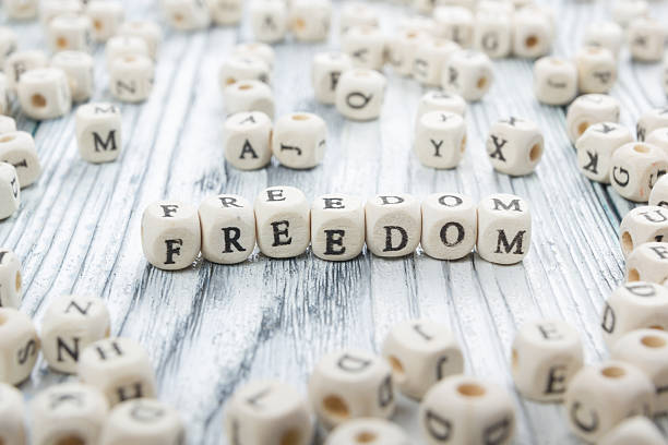 istock Wood Blocks with the word Feedom. Wooden ABC 592383814