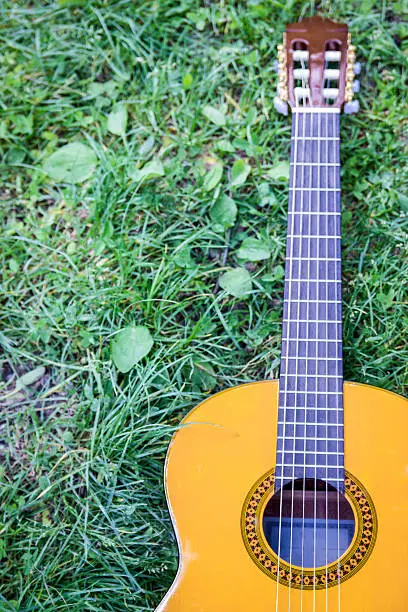 Photo of guitar in Lawn