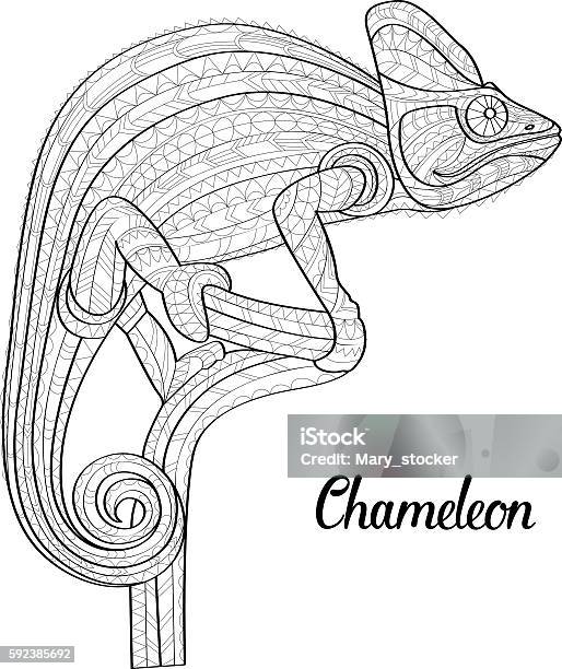 Hand Drawn Doodle Outline Chameleon Illustration Stock Illustration - Download Image Now - Abstract, Adult, Animal