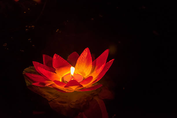 istock Floating Lotus Flower Paper Lanterns On Water 592386022