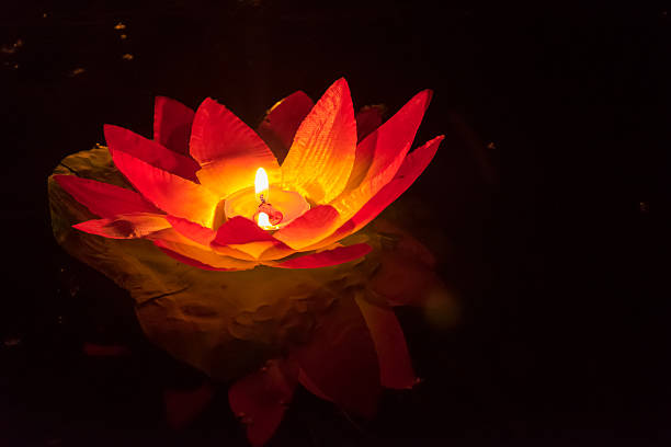 istock Floating Lotus Flower Paper Lanterns On Water 592386090