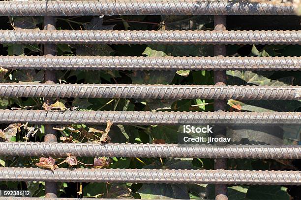 Old And Rusty Iron Bars In The Background Dried Leaves Stock Photo - Download Image Now