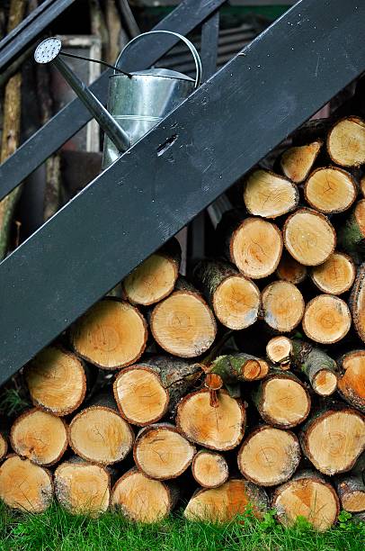 istock Chopped wood under the stairs 592386350