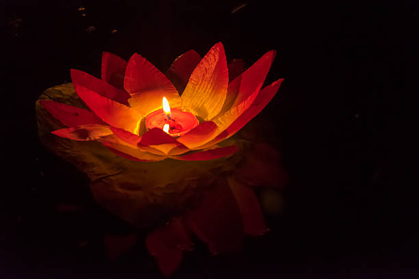 istock Floating Lotus Flower Paper Lanterns On Water 592386354