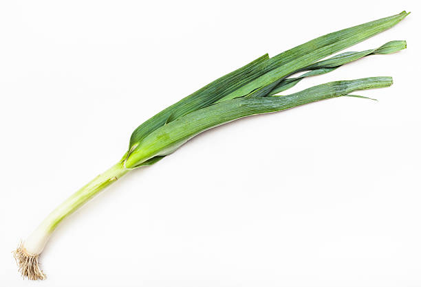 istock stalk of fresh green leek onion on white 592387190