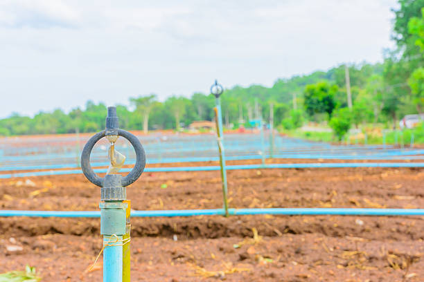 istock Water spray equipment in farm 592387460